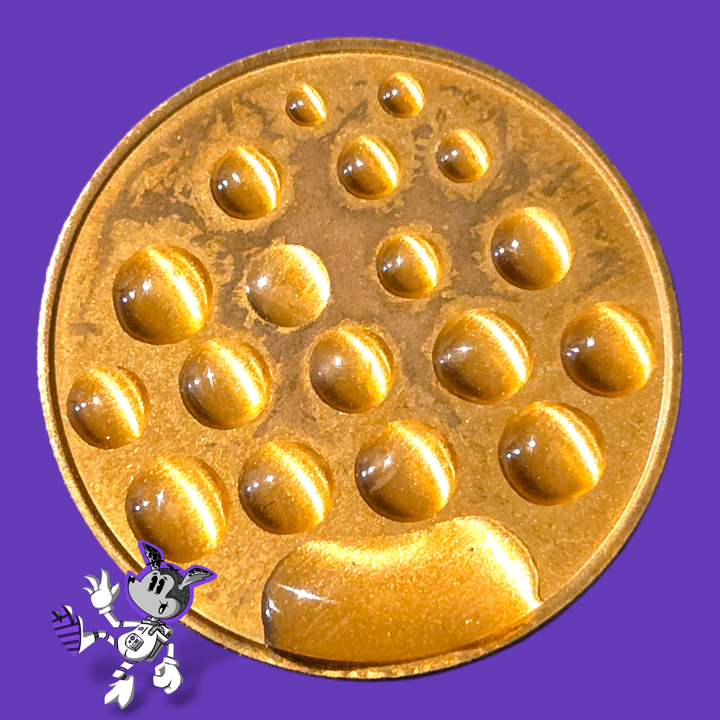 BYL “Don’t Be an Idiot” Brass Coin