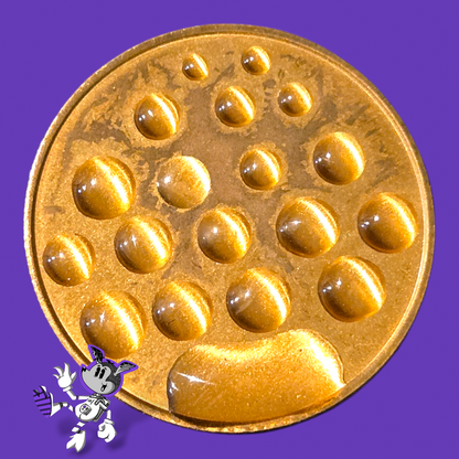 BYL “Don’t Be an Idiot” Brass Coin